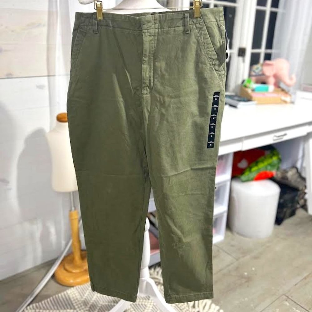 NWT Banana Republic Authentic Chino Slim fit in Iguana Green - Size 16